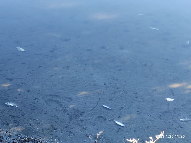 igoumenitsa-nekra-psaria.jpg igoumenitsa-nekra-psaria.jpg