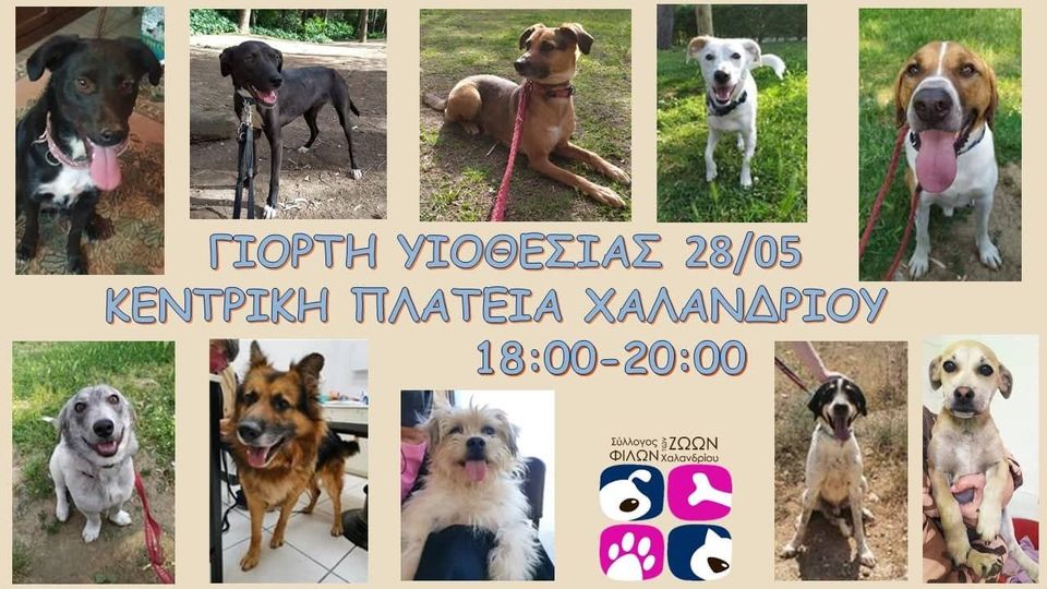 giorti_yiothesias.jpg giorti_yiothesias