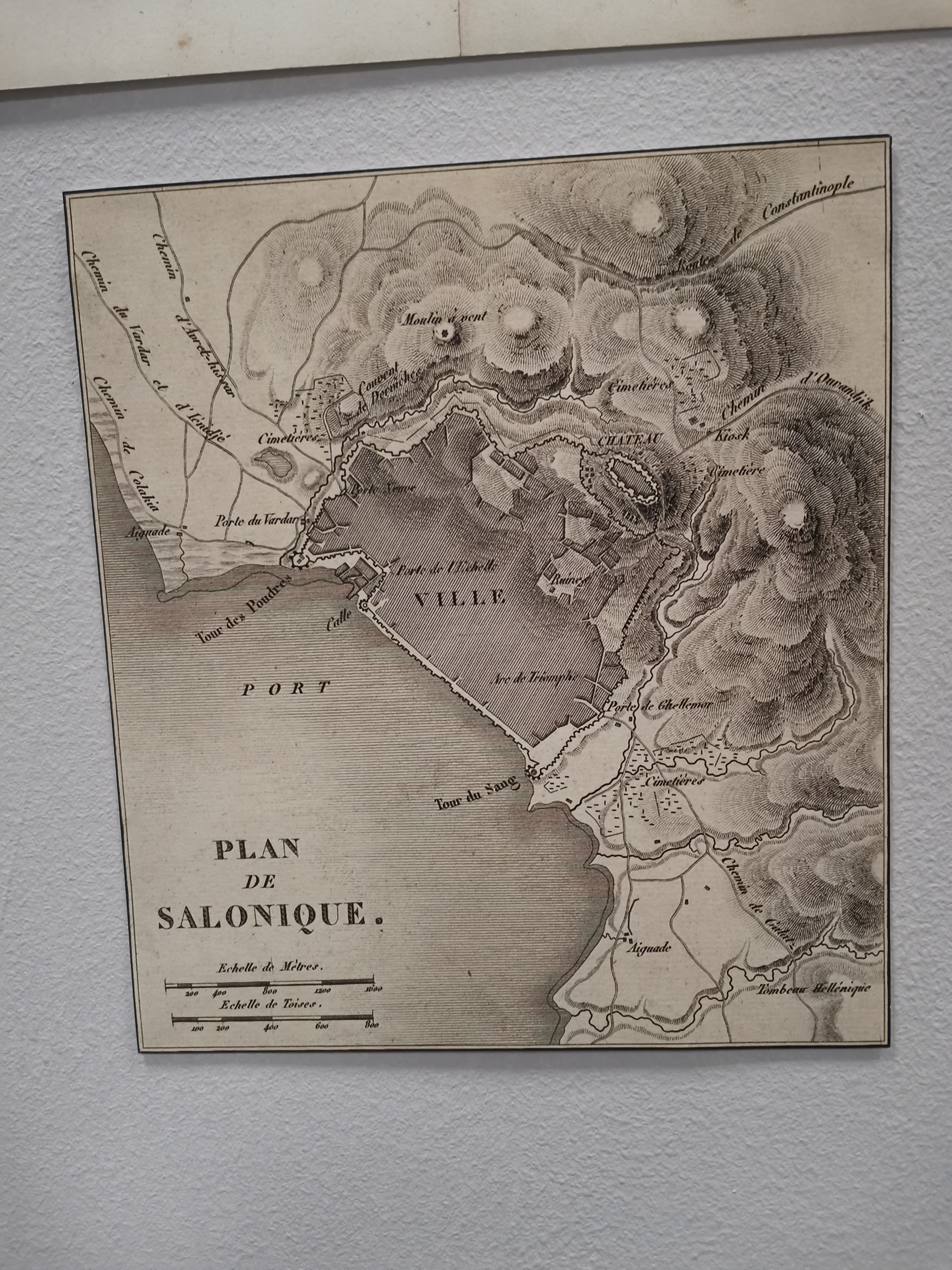 xarths.jpg xarths.jpg