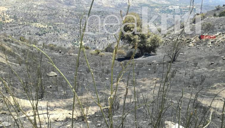 pyrkagia_rethymno.jpg pyrkagia rethymno