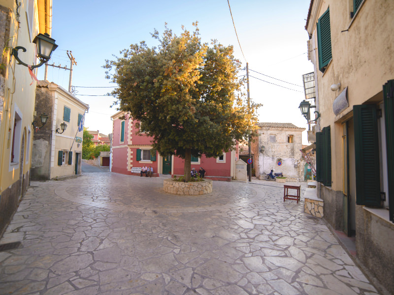 krini.jpg κέρκυρα