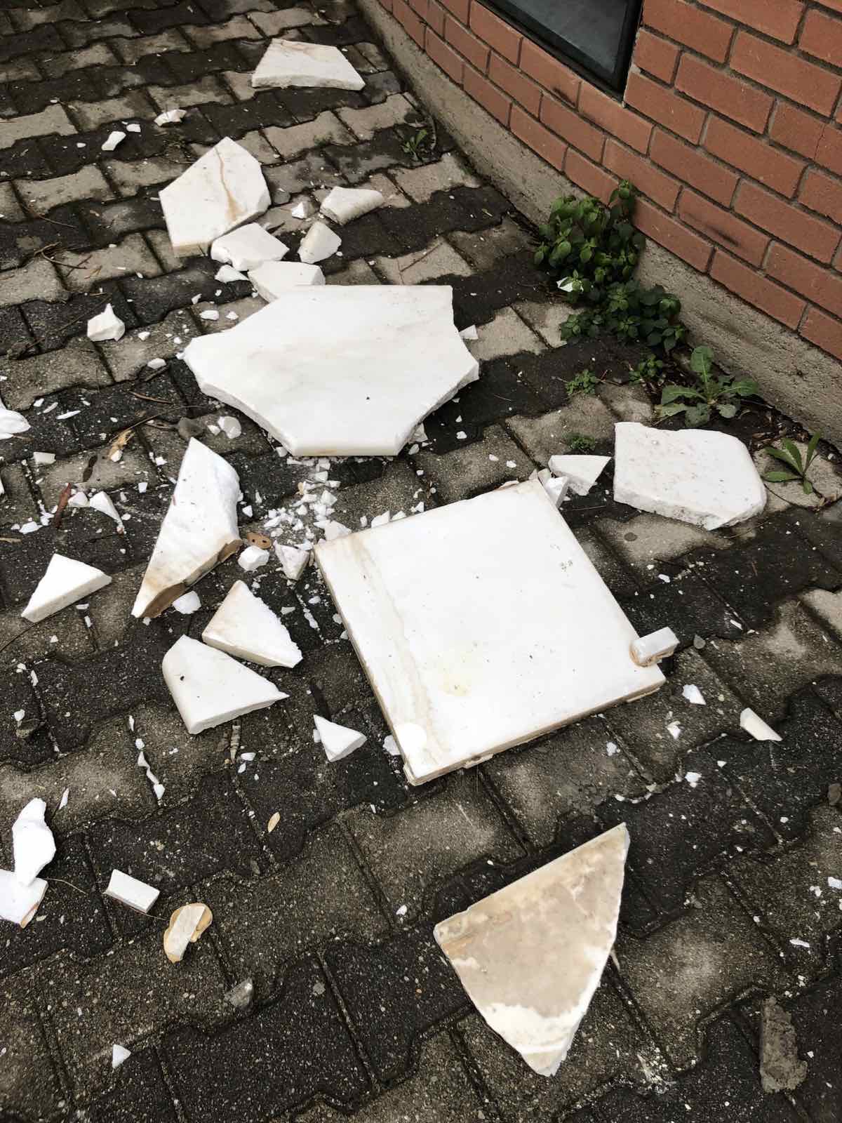 ktiniatriki.jpeg κτηνιατρικη