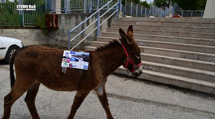 Γαϊδουράκι στις εκλογές