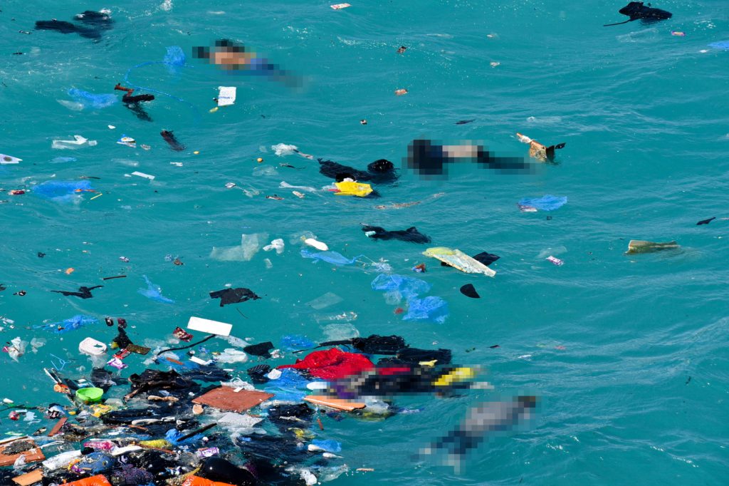 nayagio.jpg ναυάγιο