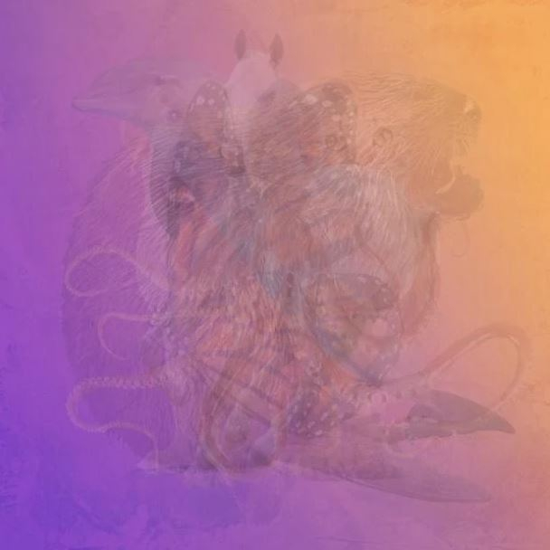 test.zwa_.jpg Το πρώτο ζώο που βλέπεις στην εικόνα, δείχνει τι άνθρωπος είσαι