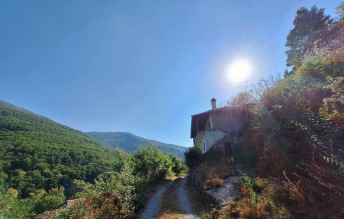 morna_pierias.png morna_pierias