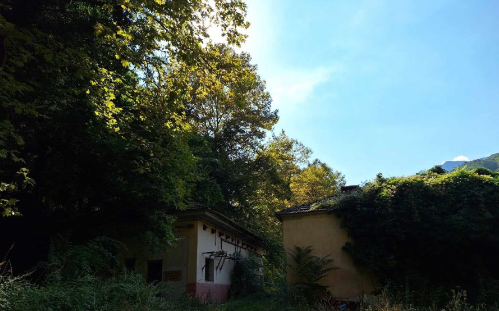 morna_pierias.png morna_pierias