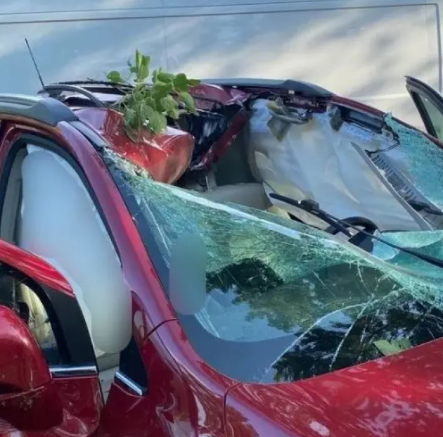 ΗΠΑ τροχαίο