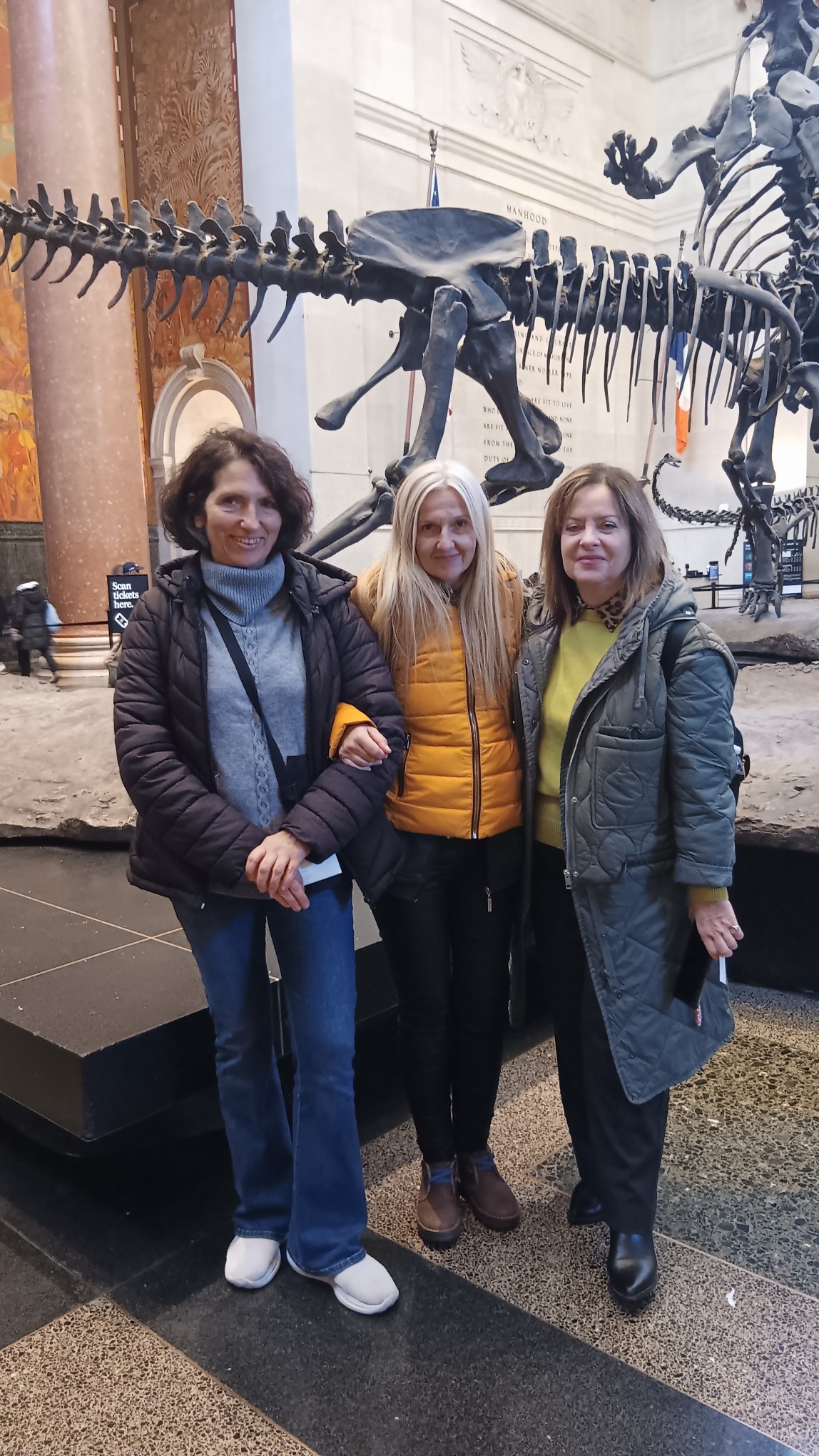 epal lamias.jpg επαλ λαμιας