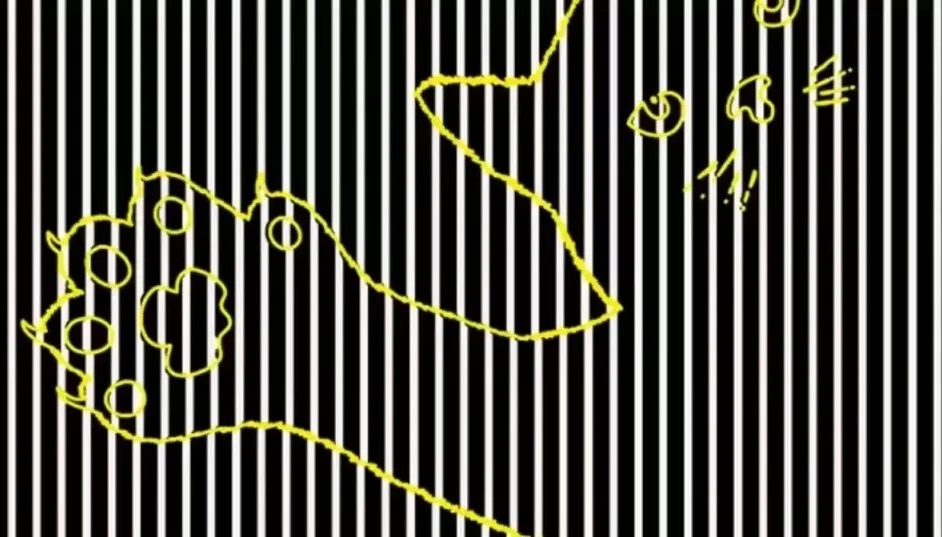 Λύση στην οφθαλμαπάτη με το ζώο