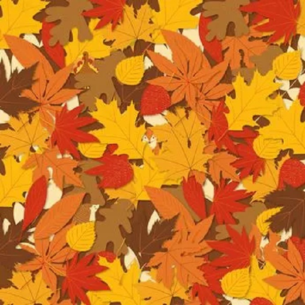 ofthh.jpg Οφθαλμαπάτη με φύλλα