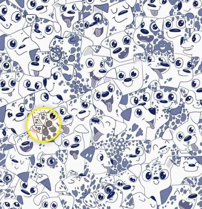 Λύση στην οφθαλμαπάτη με σκύλους