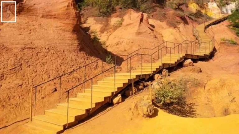 optiki-2-2.jpg Λύση στην οφθαλμαπάτη με κούγκαρ