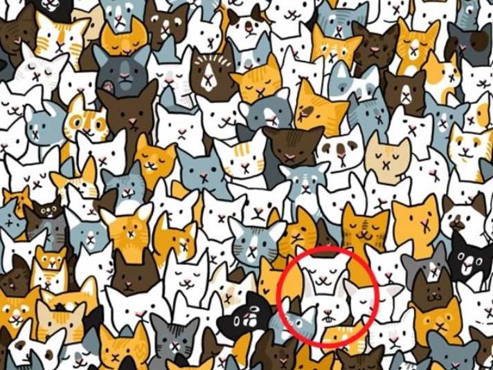 optical-illusion-rabbit-lysi