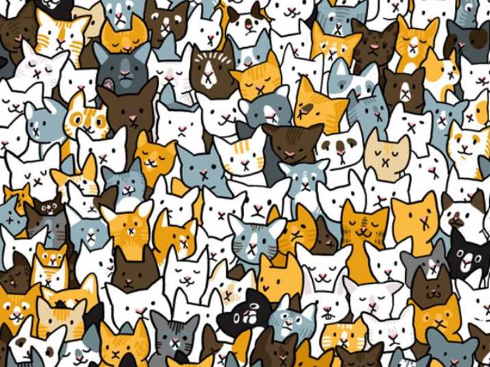 optical-illusion-rabbit