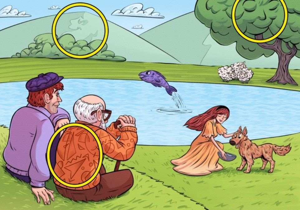 optiki.jpg οπτικη