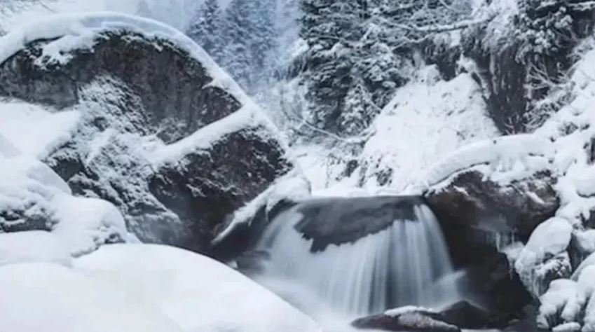 ark_opt1.jpg ark_opt1