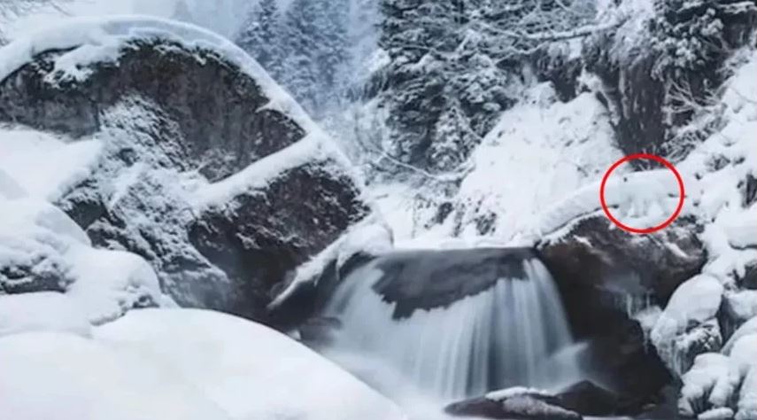 ark_opt2.jpg ark_opt2