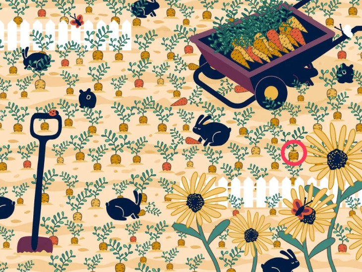 optiki.jpg οπτικη