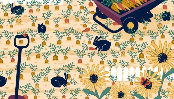 optiki.jpg οπτικη