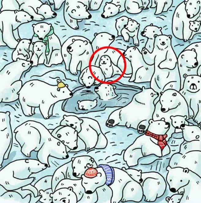 Λύση στην οφθαλμαπάτη με τις αρκούδες