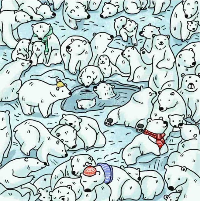 Οφθαλμαπάτη με αρκούδες