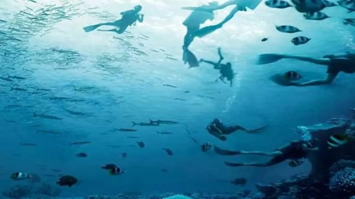 test paratiritikotitas.jpg τεστ