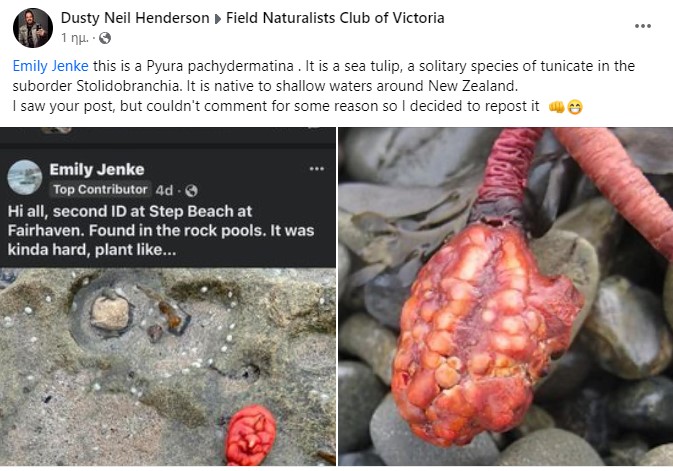 plasma.jpg πλασμα