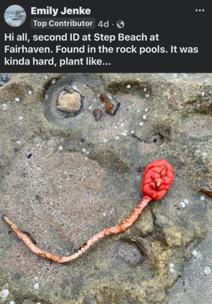 plasma.jpg πλασμα