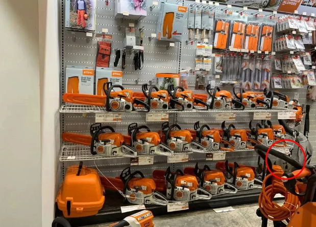 pseudesthisi.png pseudesthisi