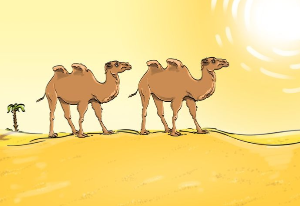 kamila_grifos.png kamila_grifos