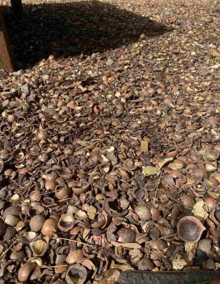 κλειδί1.jpg κλειδί1