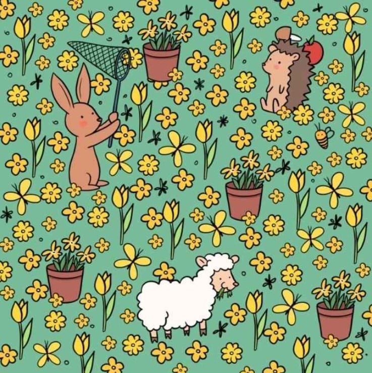 optiki.jpg οπτικη