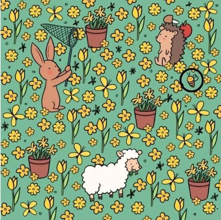 optiki.jpg οπτικη