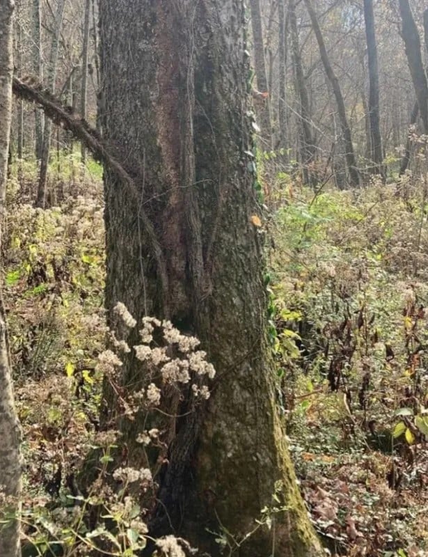 optiki-2-4.jpg optiki-2-4