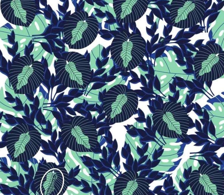 Λύση στην σπαζοκεφαλιά με κάμπια