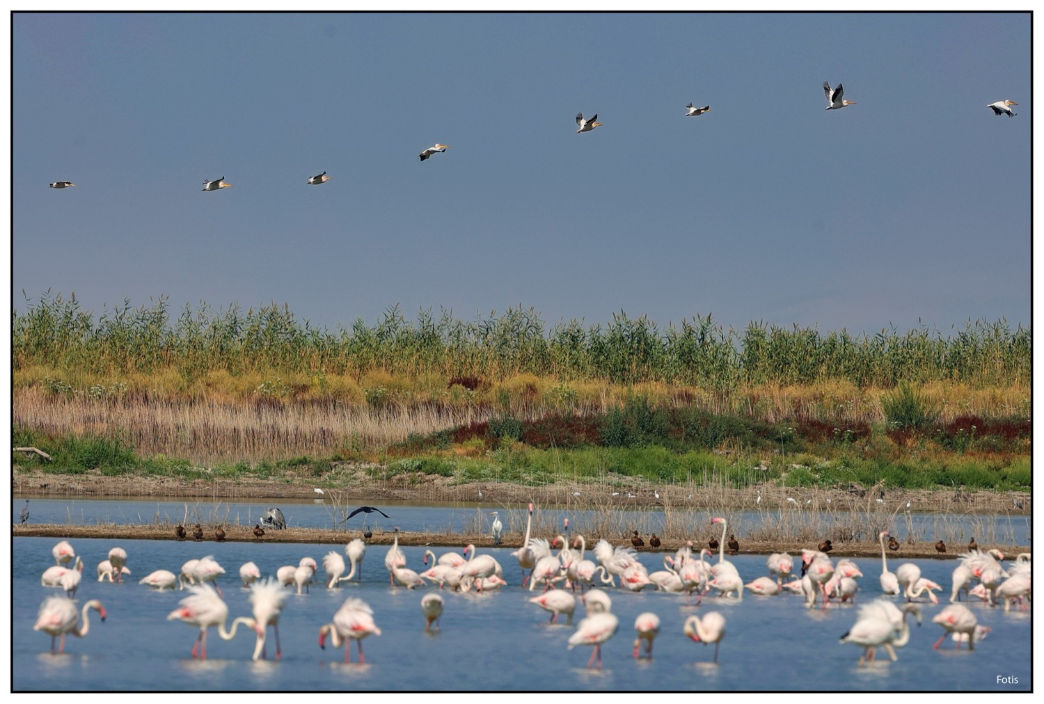 Λίμνη Κάρλα