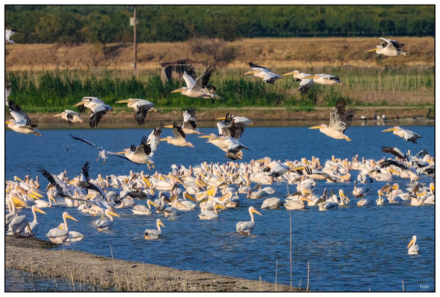 Λίμνη Κάρλα