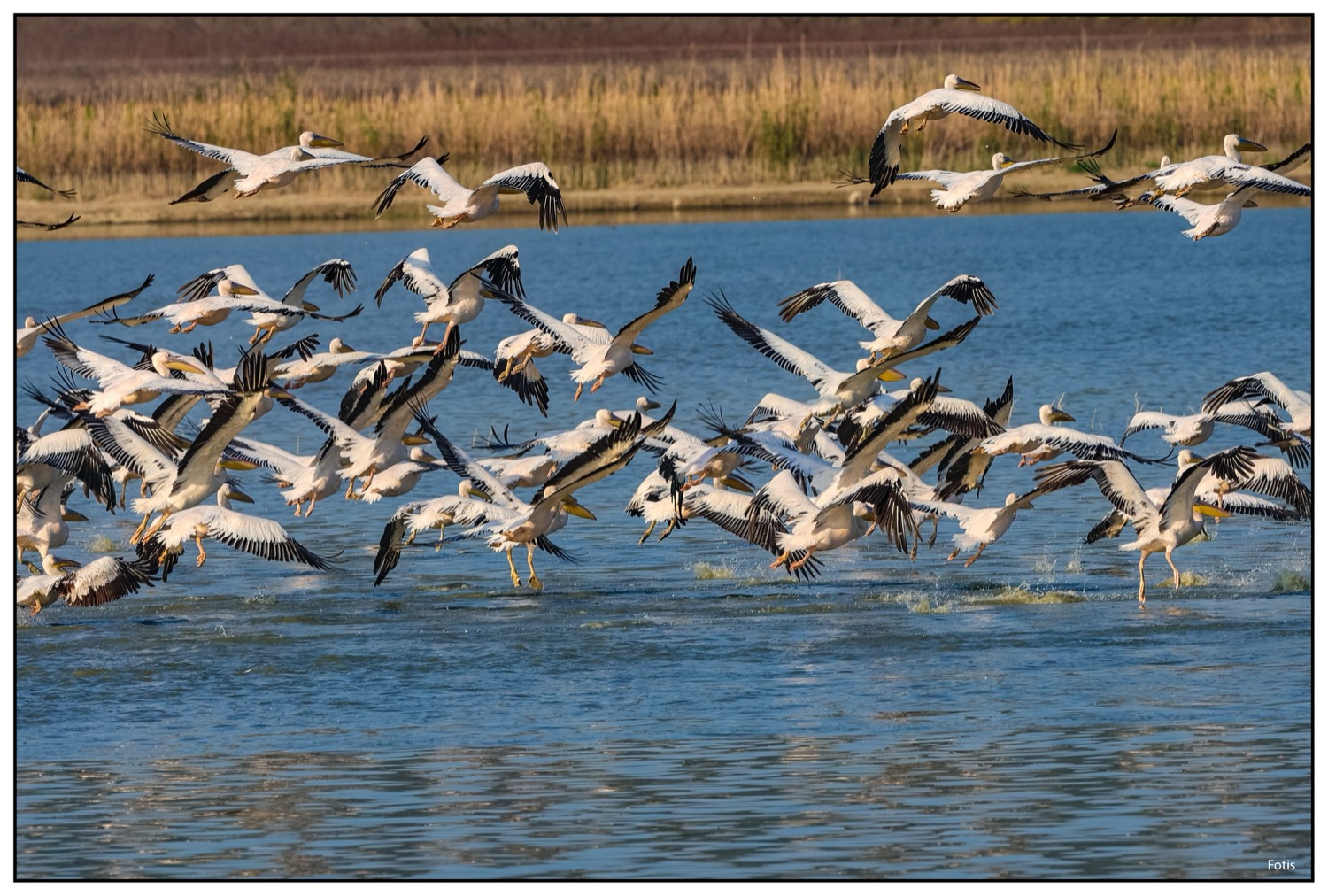 Λίμνη Κάρλα