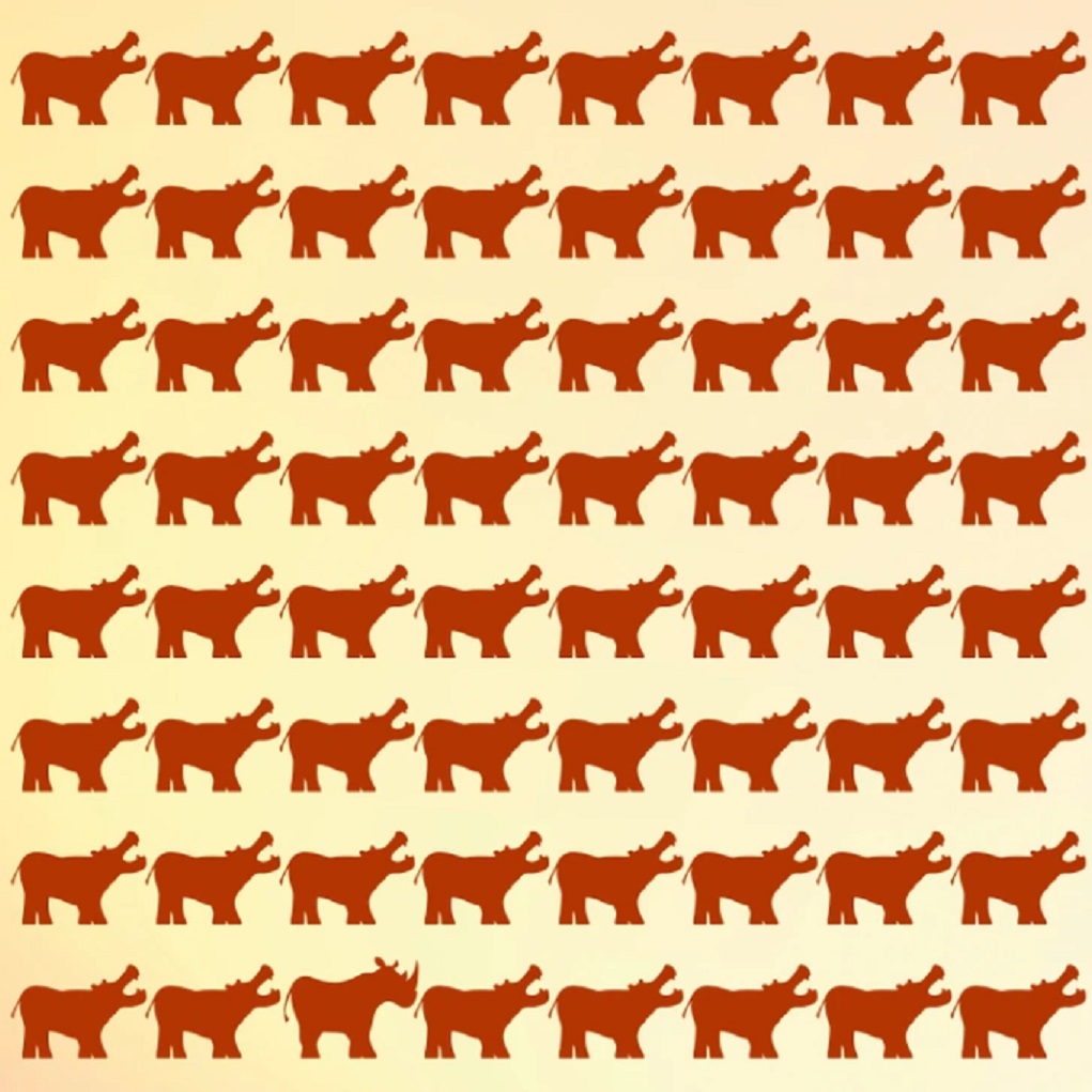 optiki.jpg οπτικη