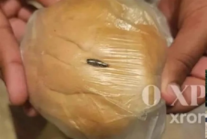 sxoliko geuma.jpg σχολικο γευμα