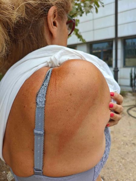 ekpaideytikoi_xylokopoyntai_1.jpg ekpaideytikoi_xylokopoyntai