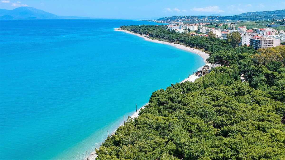 peukias.jpg πευκιας