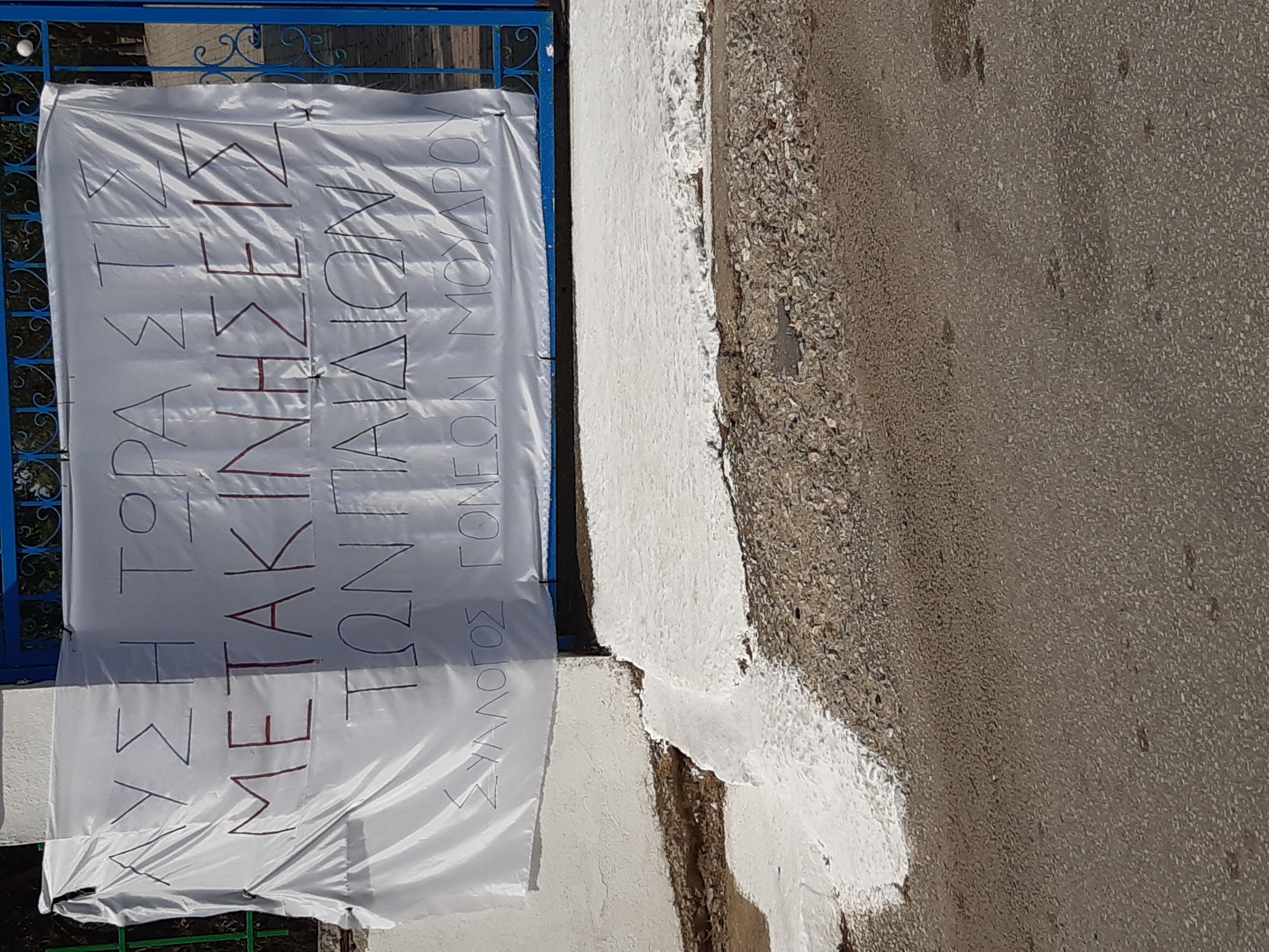 sepe limnou.jpg σεπε λημνου