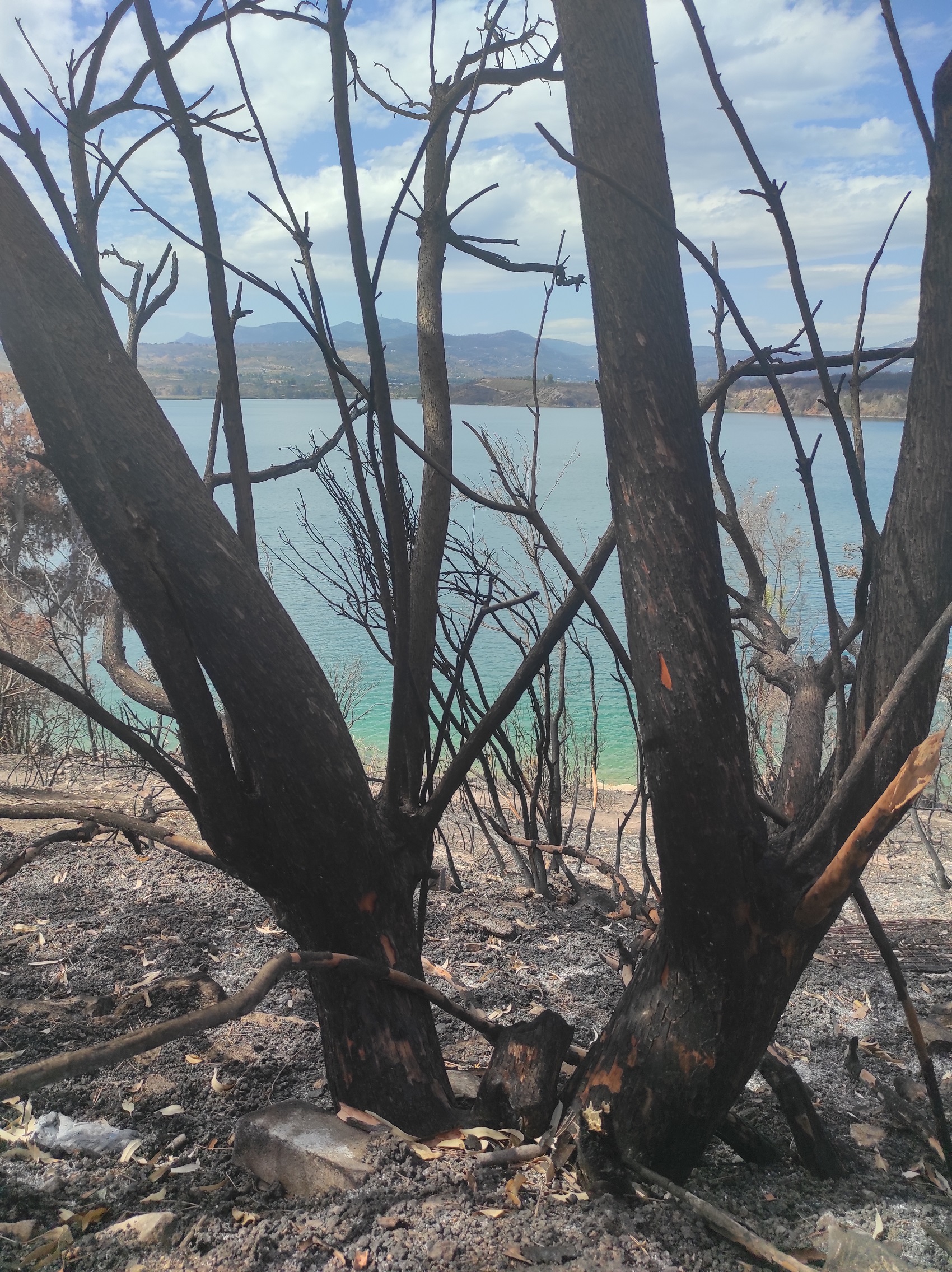 limni-marathona.jpg Λίμνη Μαραθώνα μετά την πυρκαγιά