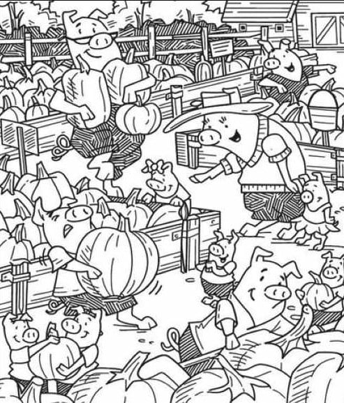 optiki-2-22.jpg οπτικη