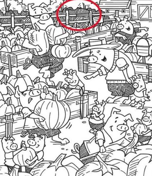 optiki-3-21.jpg οπτικη