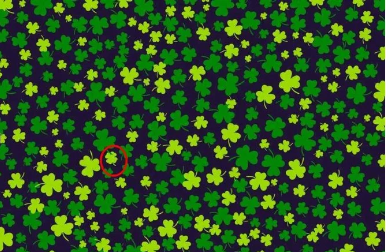 optiki.png οπτικη