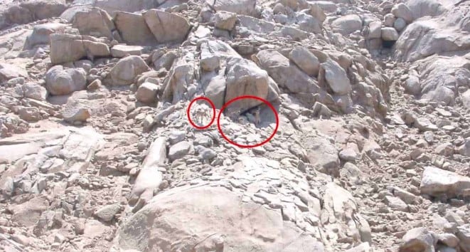 lusi.jpg οπτική ψευδαίσθηση