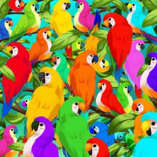 optiki.jpg ψευδαίσθηση